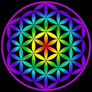 Telegram profile photo for هیپنوتیزم ، ریکی | بابک خسرونژاد