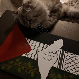 Telegram profile photo for لِّيَطْمَئِنَّ قَلْبُكْ🇵🇸♥️ ↻
