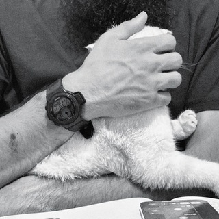 Telegram profile photo for casio