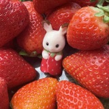 Telegram profile photo for 🍓Strawberry_confession (´ ▽`).o♡