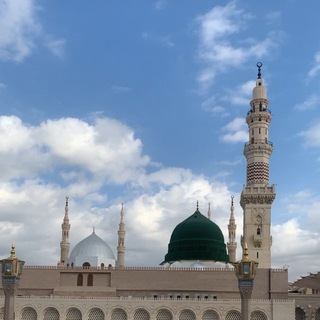 Telegram profile photo for التعليم في المدينة المنورة- طالبات فقط