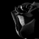 Telegram profile photo for کمکهای زنانه ب بانوان کرمانشاه