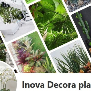 Telegram profile photo for Plantas y Jardinería 🍀 🍂🌳🌱🌾 Grupo Inova Decora