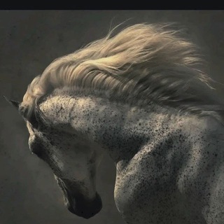 Telegram profile photo for غريب