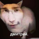 Telegram profile photo for rudyhard