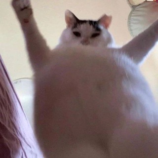 Telegram profile photo for вацпл и друзья