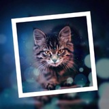 Telegram profile photo for Yehuda channel ๐