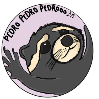Telegram profile photo for PEDRO ON TON ๐