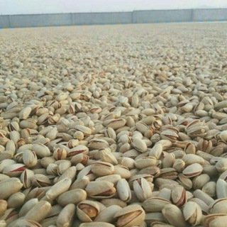 Telegram profile photo for پسته رفسنجان