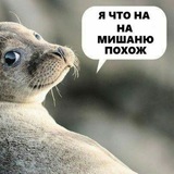 Telegram profile photo for DJ Мишаня