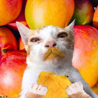 Telegram profile photo for Shitposting Maracaton 2: The Bad Memes