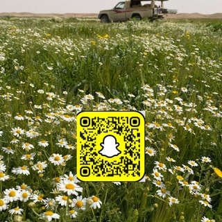 Telegram profile photo for قناة بدر بن علي 📸