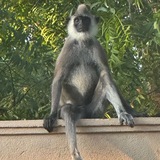 Telegram profile photo for Оксанка и Шри-Ланка