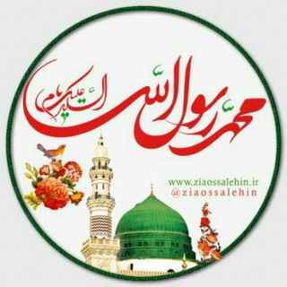 Telegram profile photo for زمینی ها