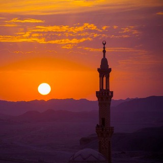 Telegram profile photo for حزب التجديد الإسلامي