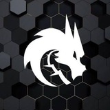 Telegram profile photo for SPIRIT Esports CS2