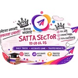 Telegram profile photo for SATTA SECTOR