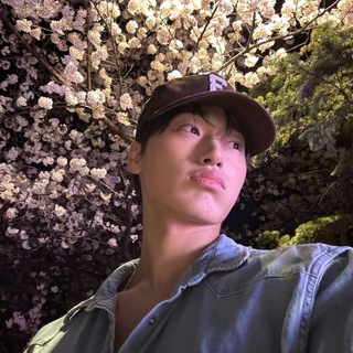 Telegram profile photo for Fileš