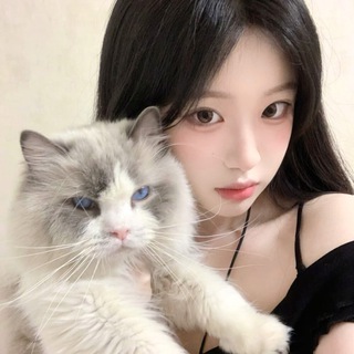 Telegram profile photo for 来飞机赚钱就做自助洗红包🧧