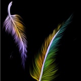 Telegram profile photo for خلفيات لابتوب Desktop wallpapers