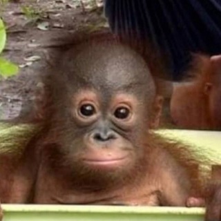 Telegram profile photo for арзивкамвао