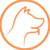 Telegram profile photo for Goodog: взять собаку или кошку из приюта!