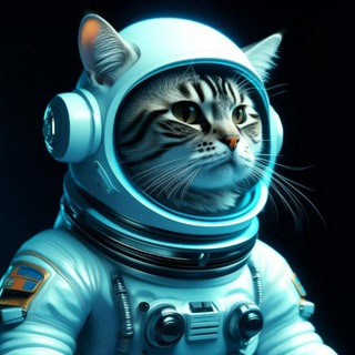 Telegram profile photo for КотСмос