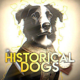 Telegram profile photo for HISTORICAL DOGS
