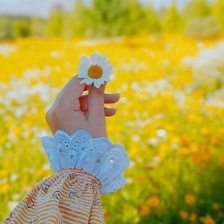 Telegram profile photo for زيادة شعور ♡