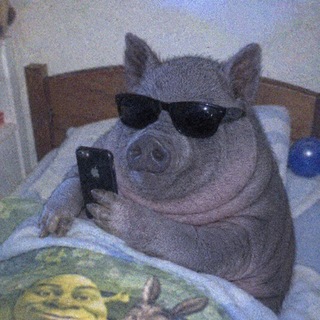 Telegram profile photo for НАРЕЗНОЕ ХРЮЧЕВО 🐷✂️