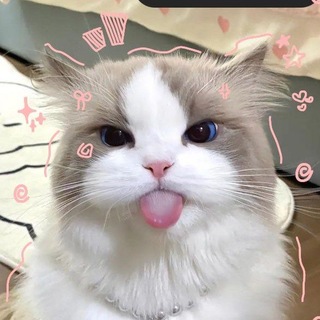Telegram profile photo for arsip ress ashera