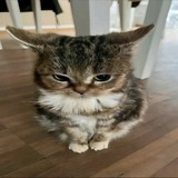 Telegram profile photo for кризис среднего возраста