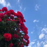 Telegram profile photo for غيث غيمة ⛈