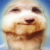 Telegram profile photo for ZAZAAR