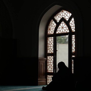 Telegram profile photo for سُبُلٌ.