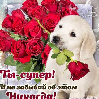 Telegram profile photo for Открытки для Любимых | Поздравления | Пожелания