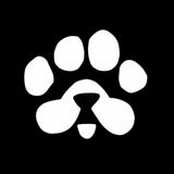 Telegram profile photo for Paws bot