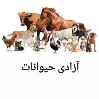Telegram profile photo for آزادی حیوانات