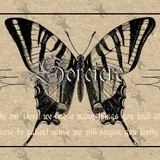 Telegram profile photo for testi sorcière