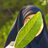 Telegram profile photo for ﮼مّر،السحاب☁️⚡️"