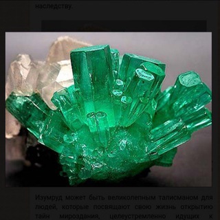 Telegram profile photo for САМОЦВЕТЫ НА КУЗНЕЦКОМ