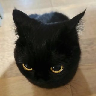 Telegram profile photo for чингиз