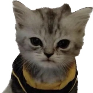 Telegram profile photo for Gamemaker Fuzz.co🤡
