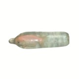 Telegram profile photo for First Condom Fish CTO