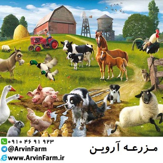 Telegram profile photo for 2017