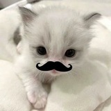 Telegram profile photo for 💉◁...культ с0Ли...▷📌