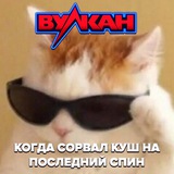 Telegram profile photo for Bounty | Баунти casino