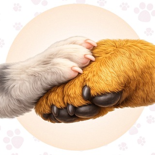Telegram profile photo for Подай лапу