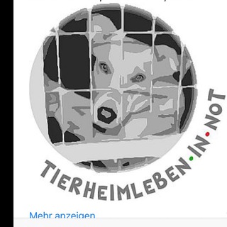Telegram profile photo for Tierheimleben in Not e.V.