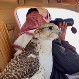 Telegram profile photo for Us4